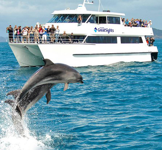 Product Description Image